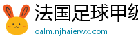 法国足球甲级联赛